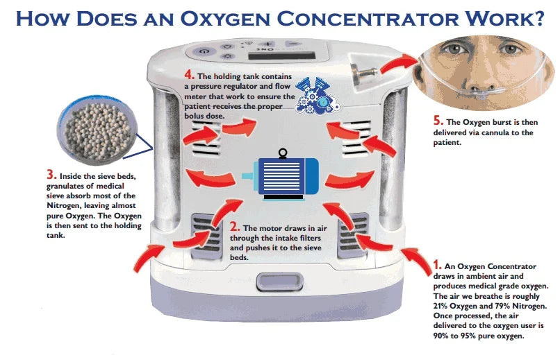How does an oxygen concentrator work