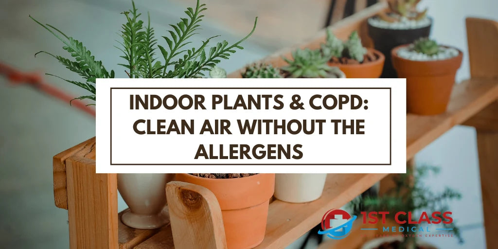The Best Indoor Plants for COPD Patients: Clean Air Without the Allergens