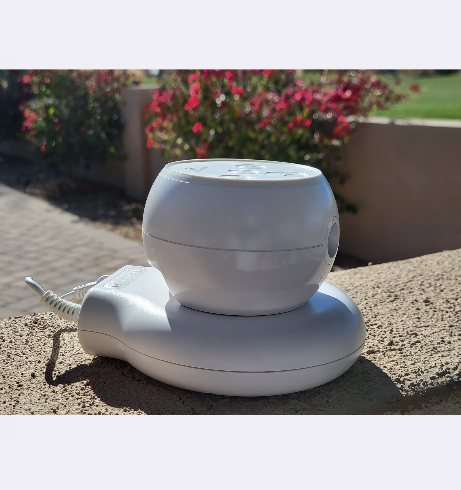 White outdoor security camera on a stand with flowers in the background