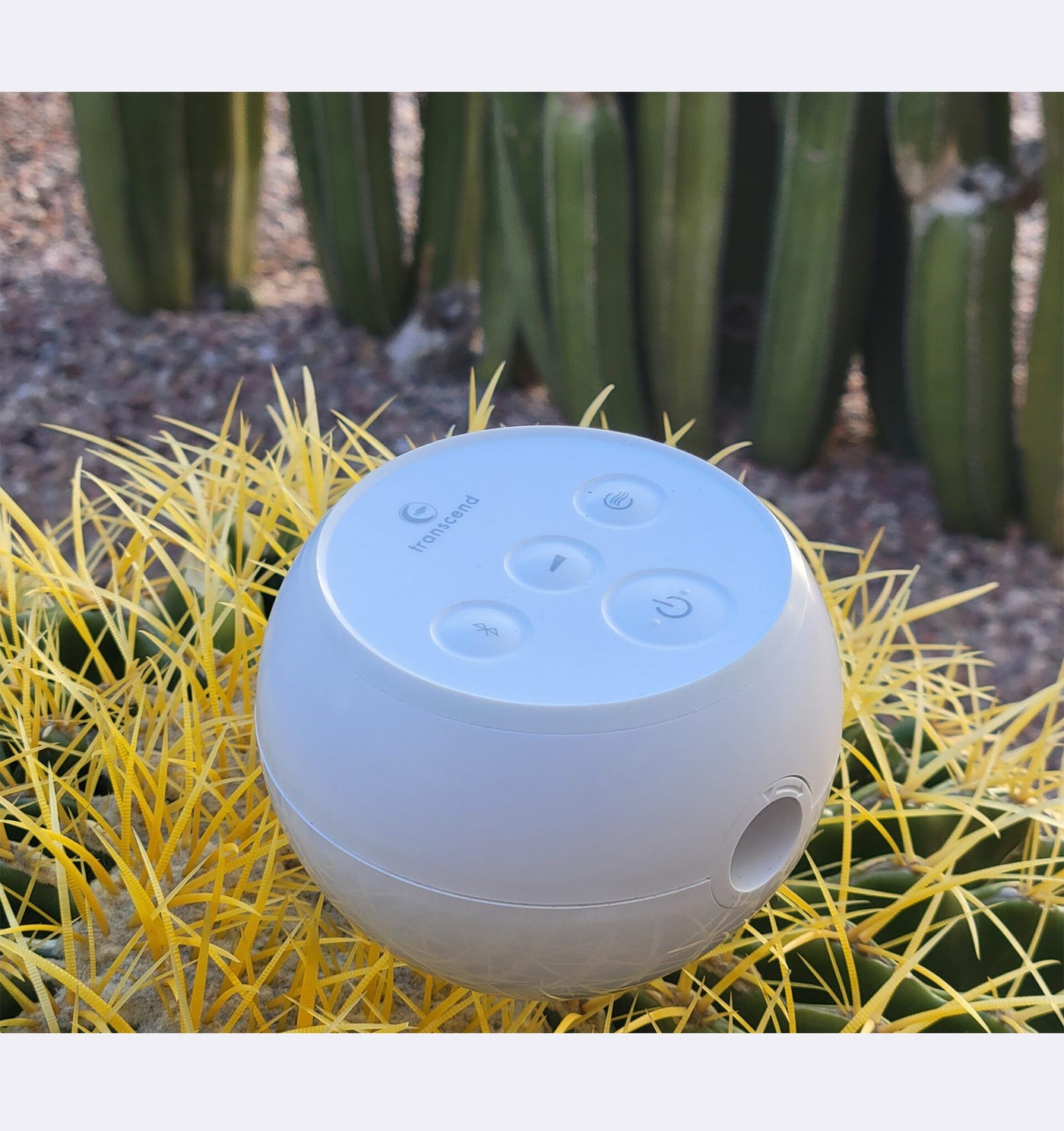 White spherical device with buttons on a cactus plant