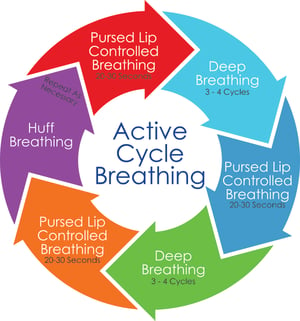 Active Cycle Diagram