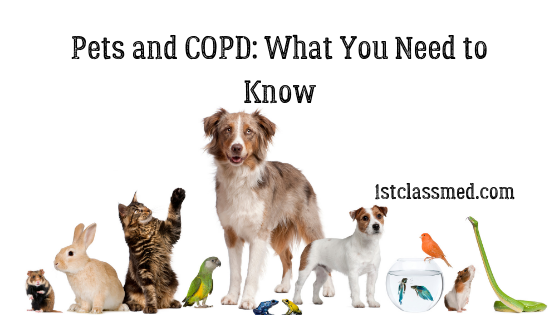 Pets and COPD: What You Need to Know