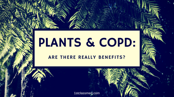 Plants & COPD: Are There Really Benefits?