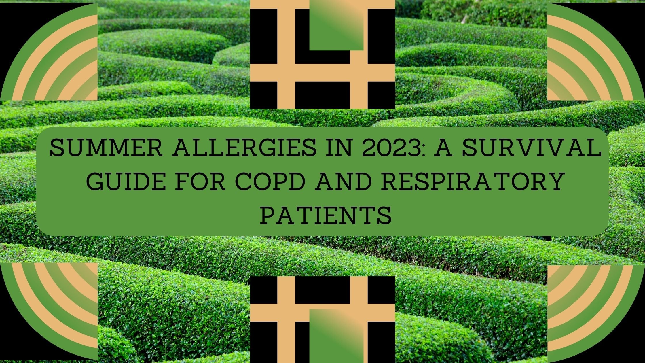 Summer Allergies in 2023 A Survival Guide for COPD and Respiratory Patients