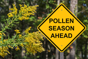 sign stating pollen season ahead