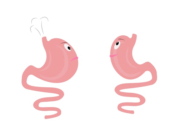 bloated versus regular stomach