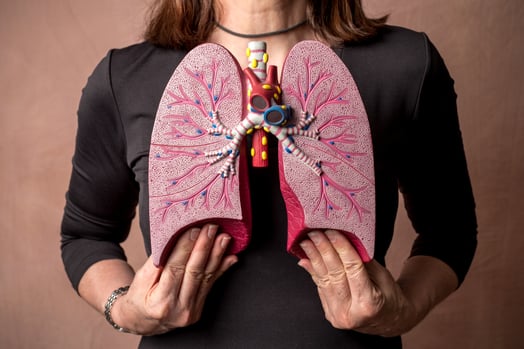 lungs model