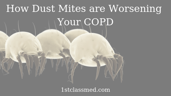 How Dust Mites are Worsening Your COPD
