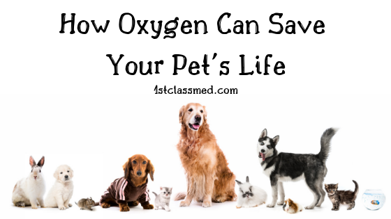 How Oxygen Can Save Your Pet's Life